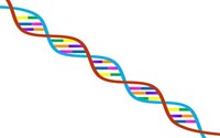 ۲۰ ژن جدید در ارتباط با اختلالات دوقطبی مشخص شدند